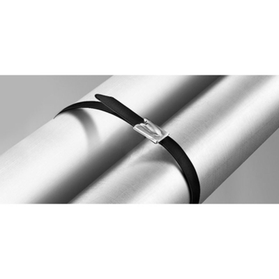 100 pièces par sac de polyester résistant aux UV Epoxy Nylon 11 en acier inoxydable