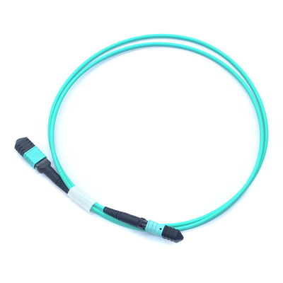 Cordon de patch en fibre optique flexible et durable avec connecteur MPO pour des applications de réseau polyvalentes