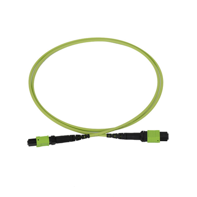 50/125 OM5 Mpo Fiber Jumper Mtp Mpo Fiber Patch Cable 3,0 mm en PVC