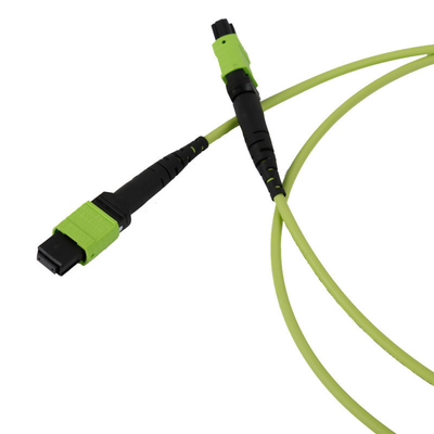 50/125 OM5 Mpo Fiber Jumper Mtp Mpo Fiber Patch Cable 3,0 mm en PVC