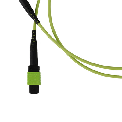 50/125 OM5 Mpo Fiber Jumper Mtp Mpo Fiber Patch Cable 3,0 mm en PVC