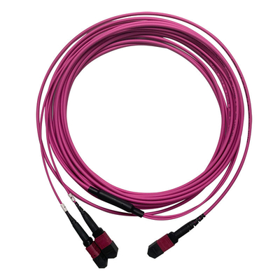 50/125 OM4 MM MPO patch cord 24F 3,0 mm PVC à haute densité multimode