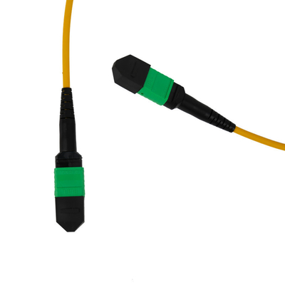 12F MPO patch cord 3mm LSZH Out Jacket PVC OFNR Pour le réseau extérieur