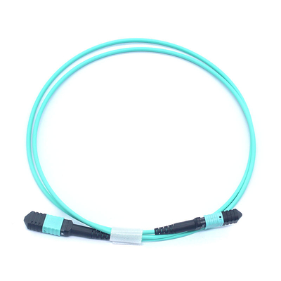 Cordon de patch en fibre optique flexible et durable avec connecteur MPO pour des applications de réseau polyvalentes
